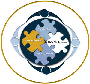 Human-System-Logo-Draft